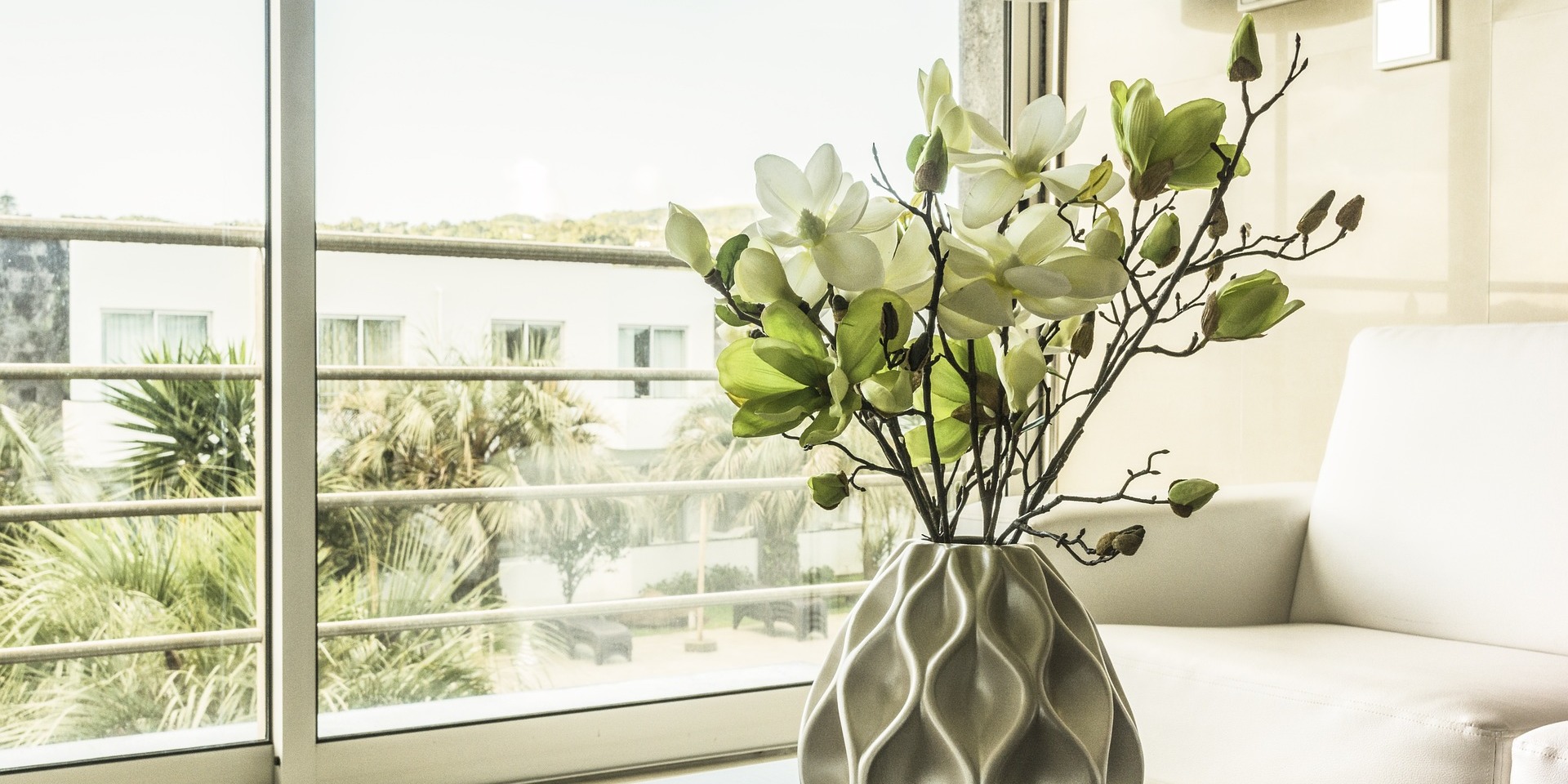 can house plants improve wellbeing and mood